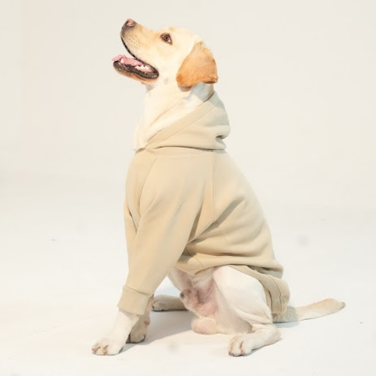 Minimal Beige Dog Hoodie Soft & Cozy Winter Hoodie for Dogs