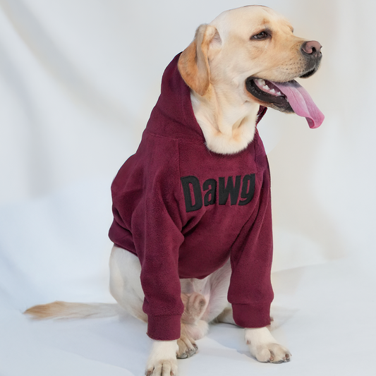 DAWG Statement Dog Hoodie – Maroon