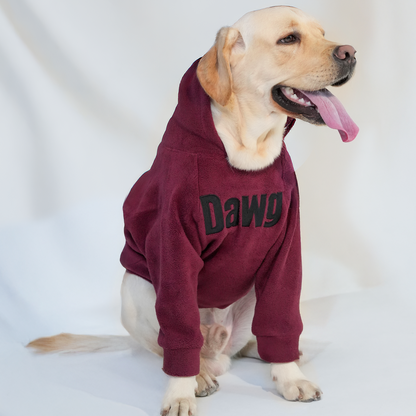 DAWG Statement Dog Hoodie – Maroon Premium Winter Wear for Dogs