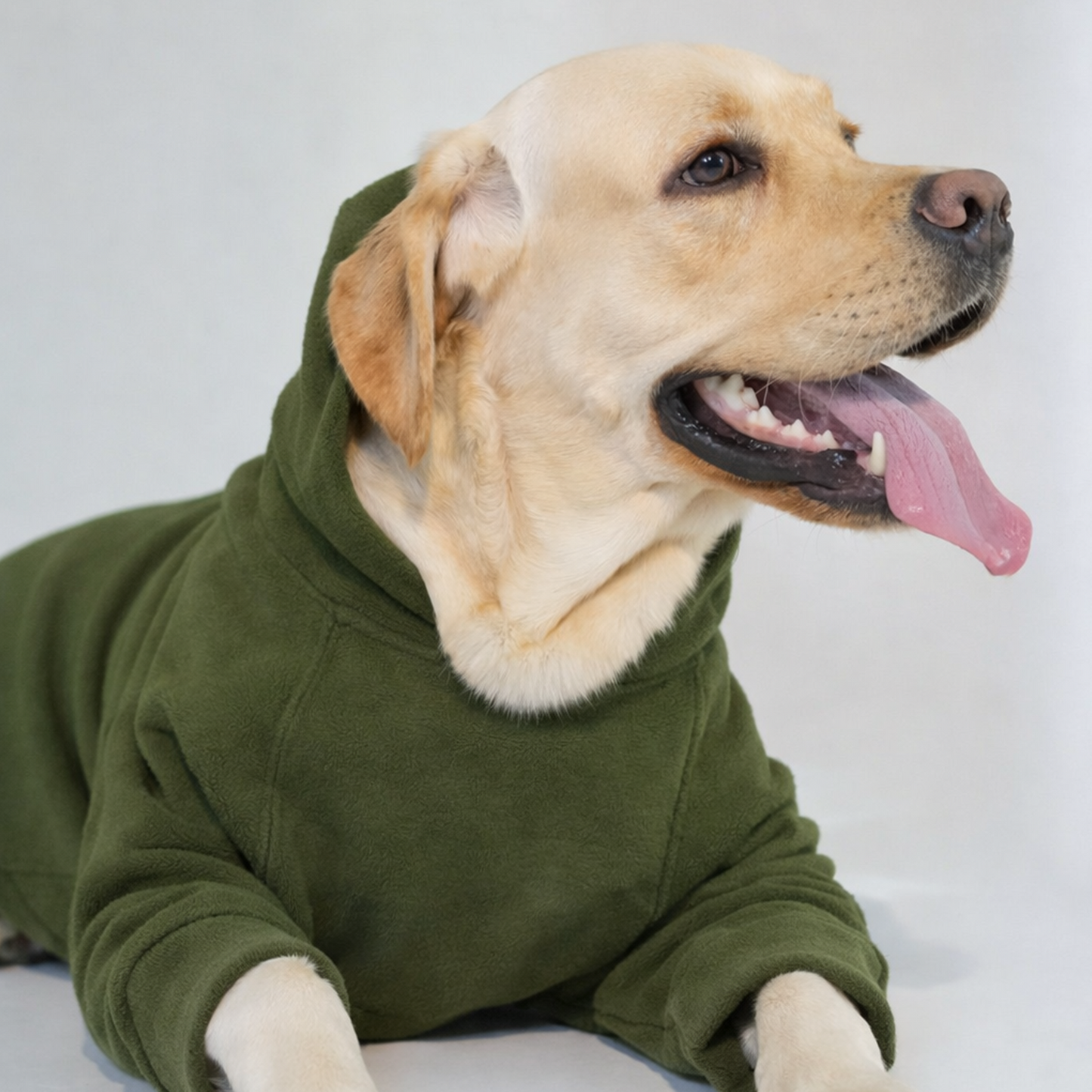 My Love Dog Hoodie – Olive Green Premium Winter Dog Hoodie