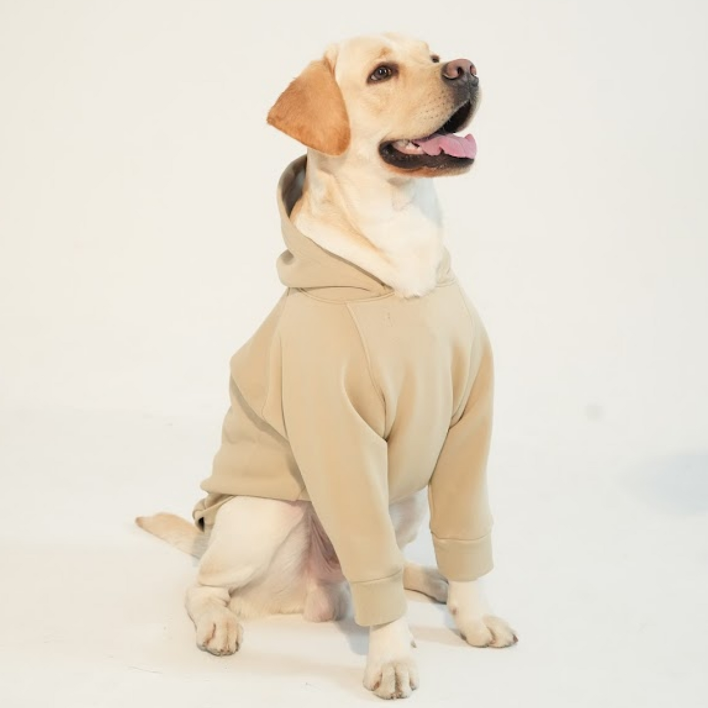 Minimal Beige Dog Hoodie Soft & Cozy Winter Hoodie for Dogs