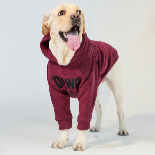 DAWG Statement Dog Hoodie – Maroon Premium Winter Wear for Dogs